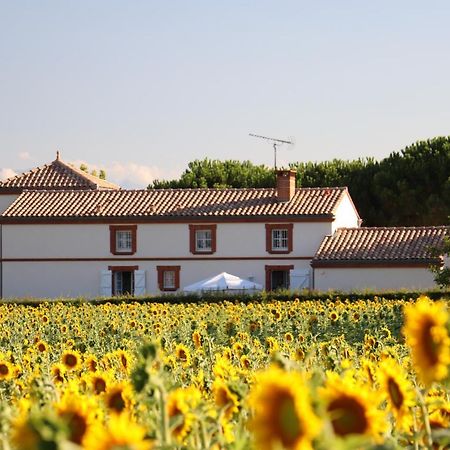 La Cascadeta Bed and Breakfast Marignac-Lasclares Exterior foto