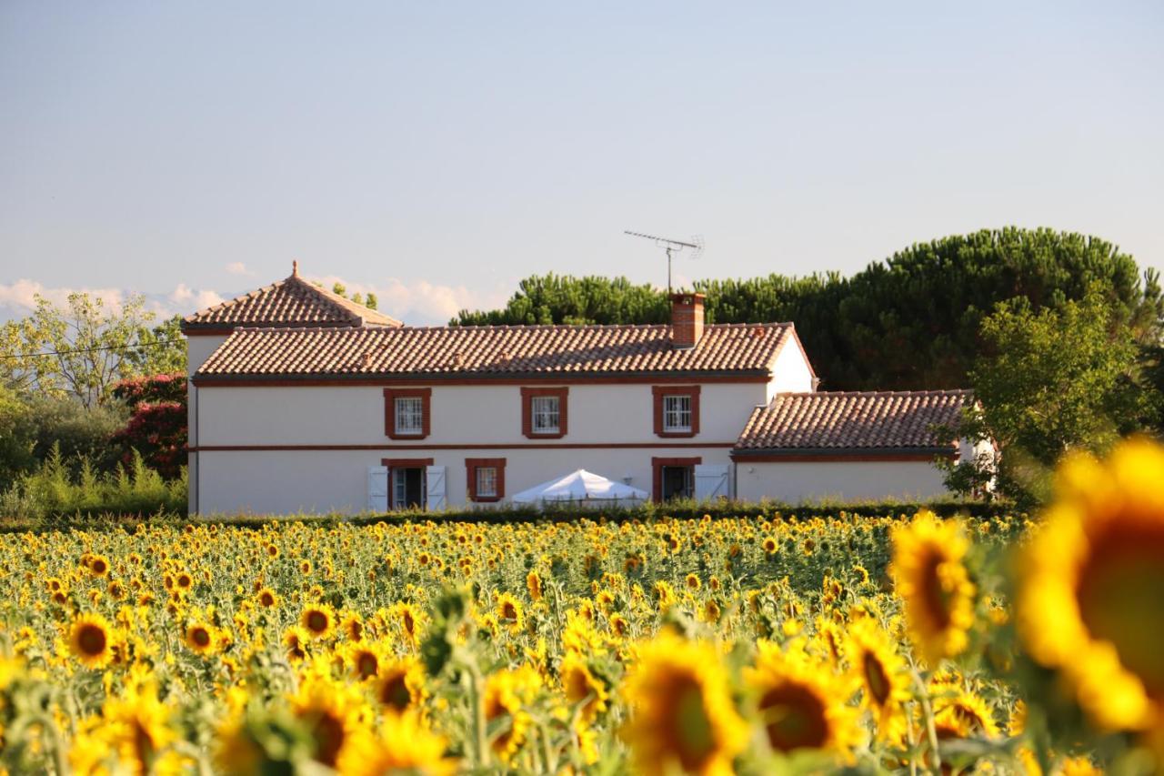 La Cascadeta Bed and Breakfast Marignac-Lasclares Exterior foto